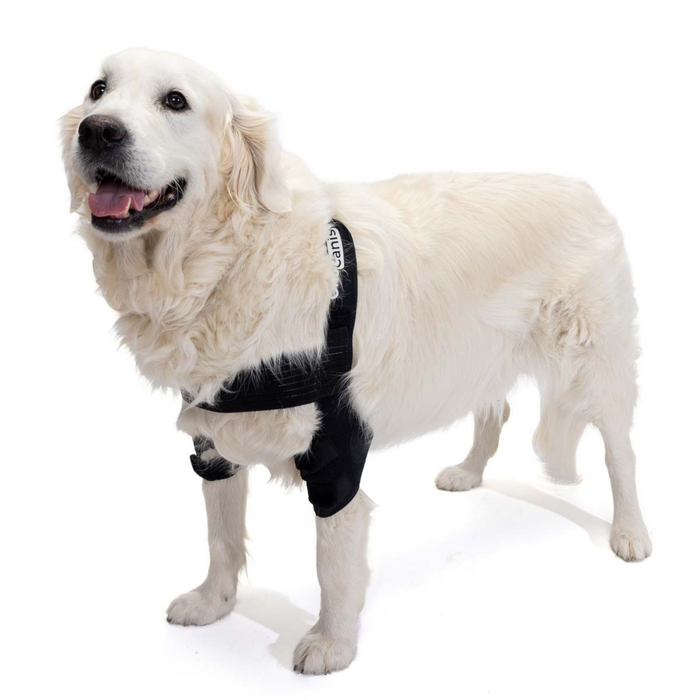 Ortesi per Gomito per Cani con Artrosi Riabilitazione Canina