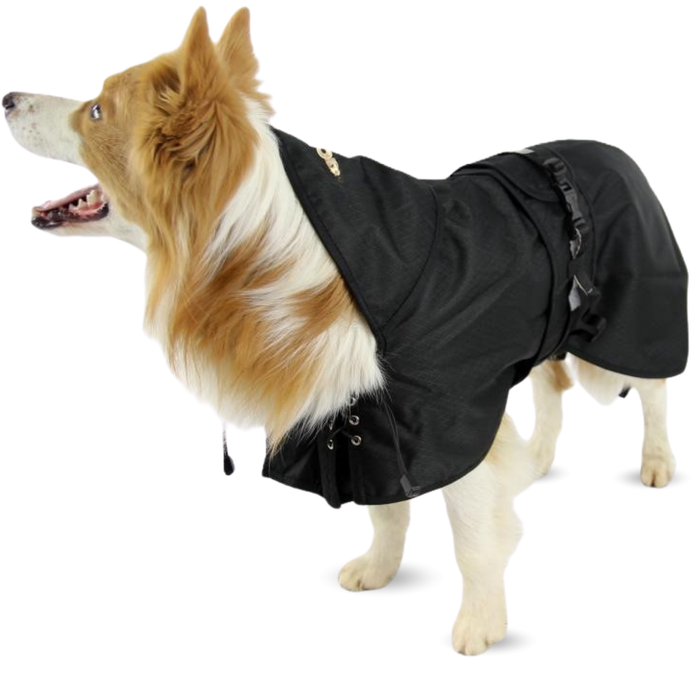 Cappotto Termico Impermeabile per Cani | Back on Track