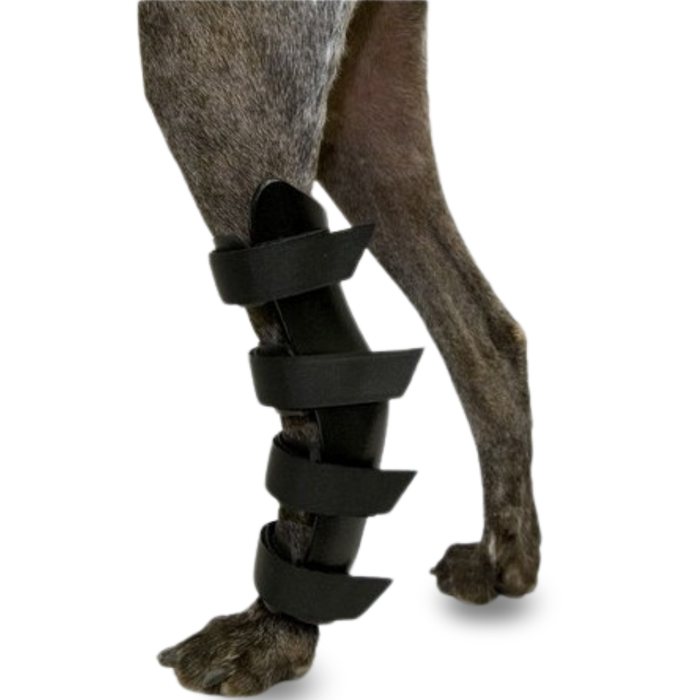 Férula Ortopedica per Cani con Lesioni al Tarso e Caviglia