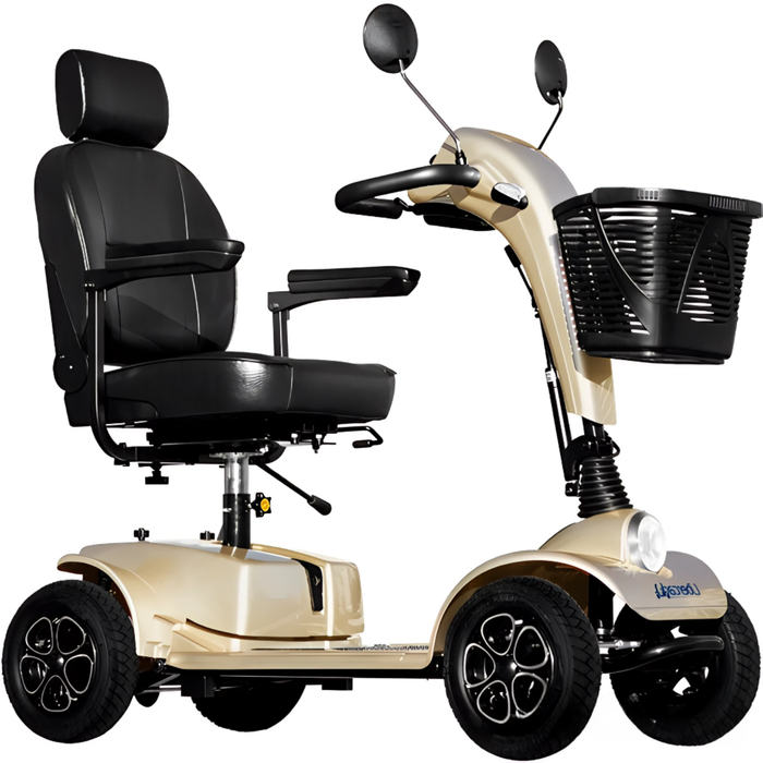 Scooter Elettrica per Adulti Premium | 4 Ruote