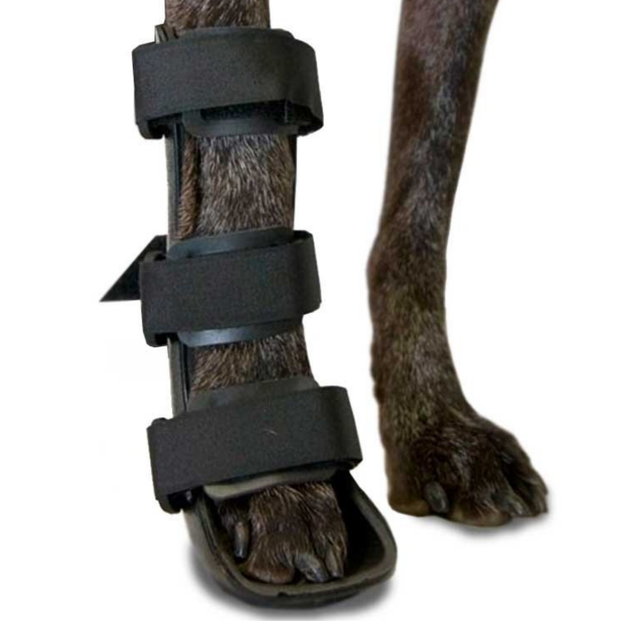 Splint canino per zampa anteriore in polipropilene | 6 taglie