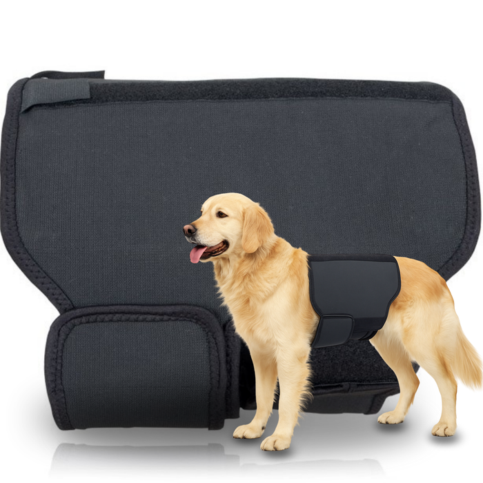 Supporto Termico Canino Back on Track | Fascia per schiena