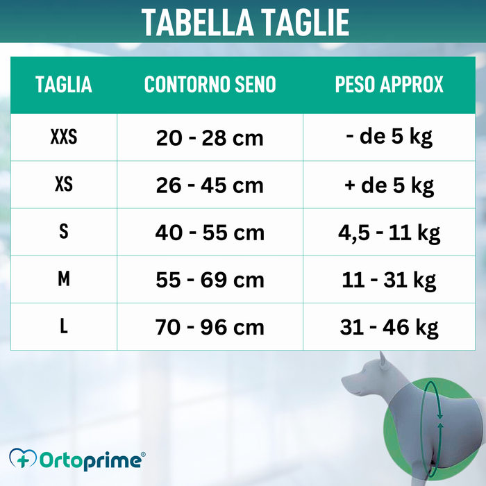 Imbracatura Canina per Riabilitazione Neurologica | 5 Taglie