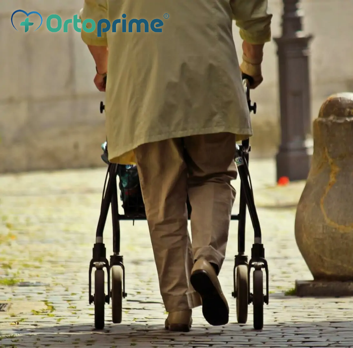 Rollator con sedia a rotelle pieghevole con cestino Innovation