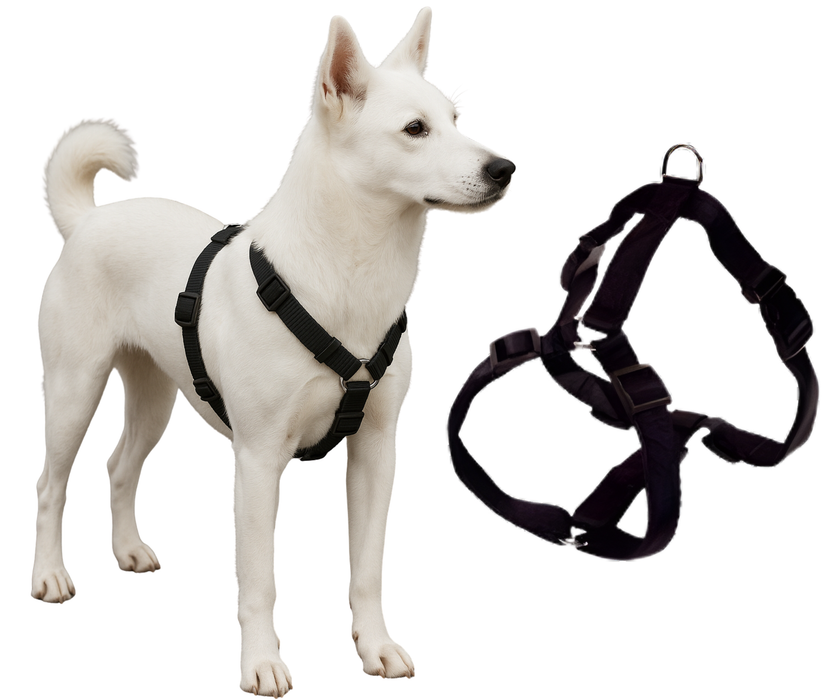 Imbracatura Canina per Riabilitazione Neurologica | 5 Taglie