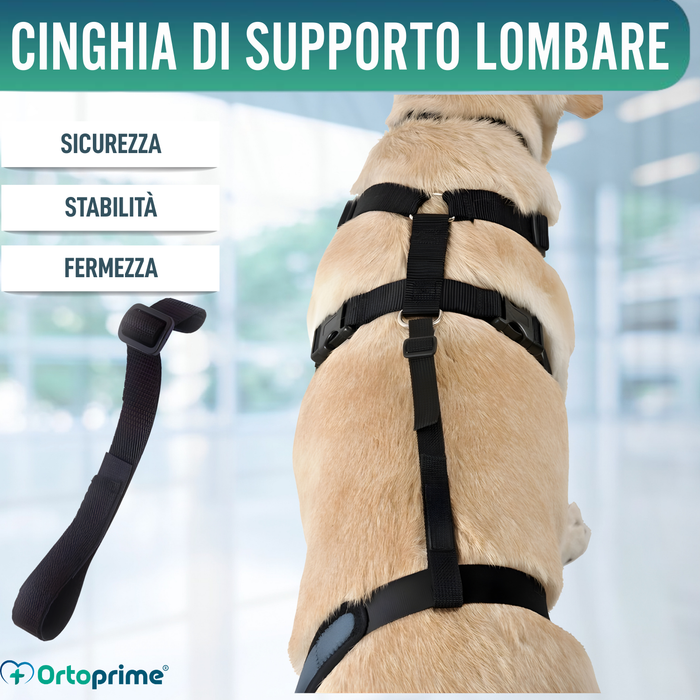 Fascia lombare per immobilizzo del ginocchio