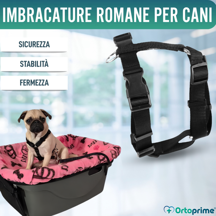 Imbracatura Canina per Riabilitazione Neurologica | 5 Taglie