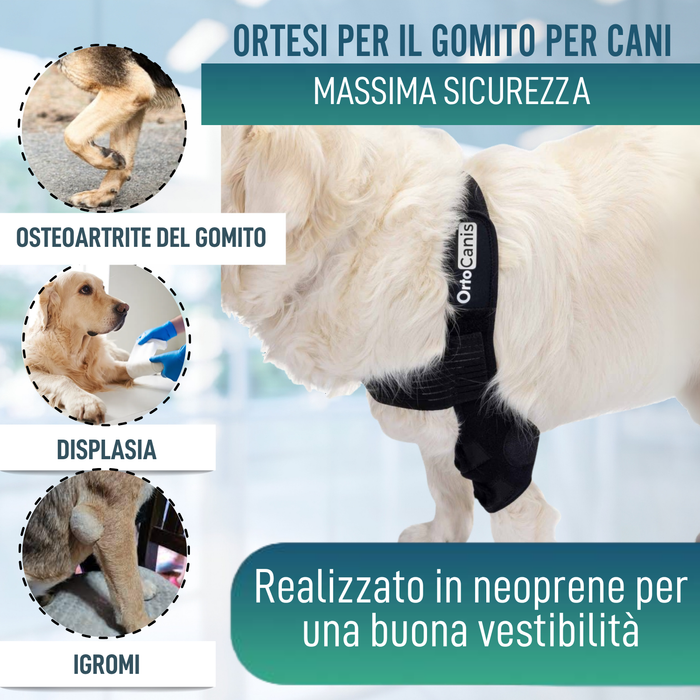 Ortesi per Gomito per Cani con Artrosi Riabilitazione Canina