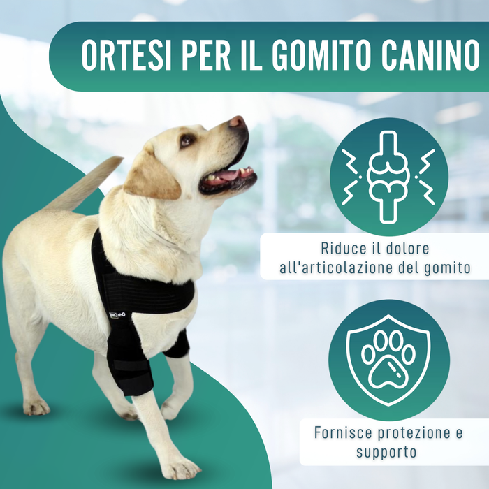 Ortesi per Gomito per Cani con Artrosi Riabilitazione Canina