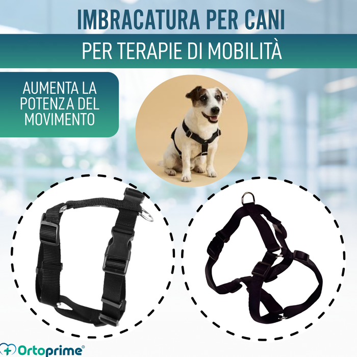 Imbracatura Canina per Riabilitazione Neurologica | 5 Taglie