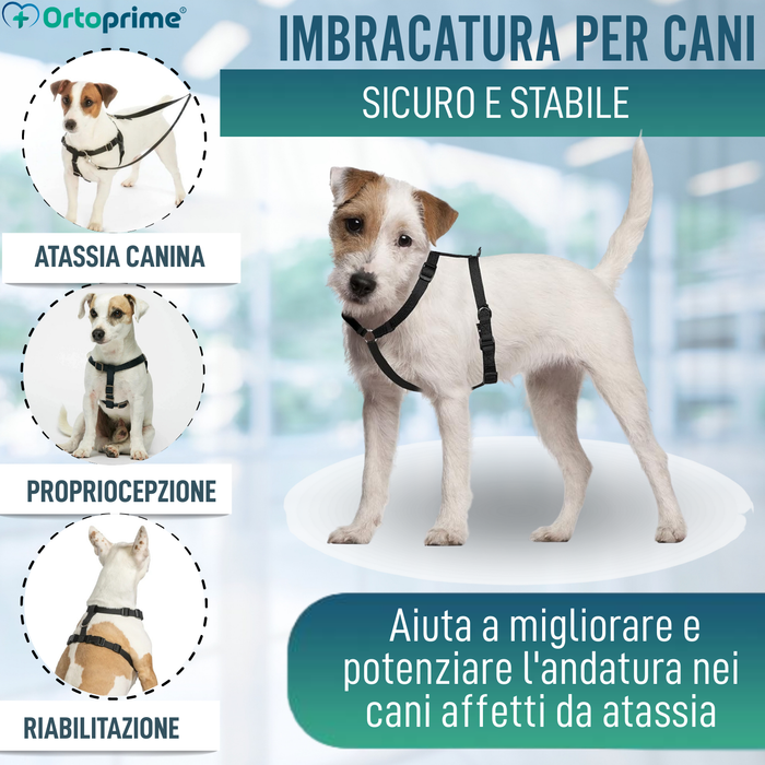 Imbracatura Canina per Riabilitazione Neurologica | 5 Taglie