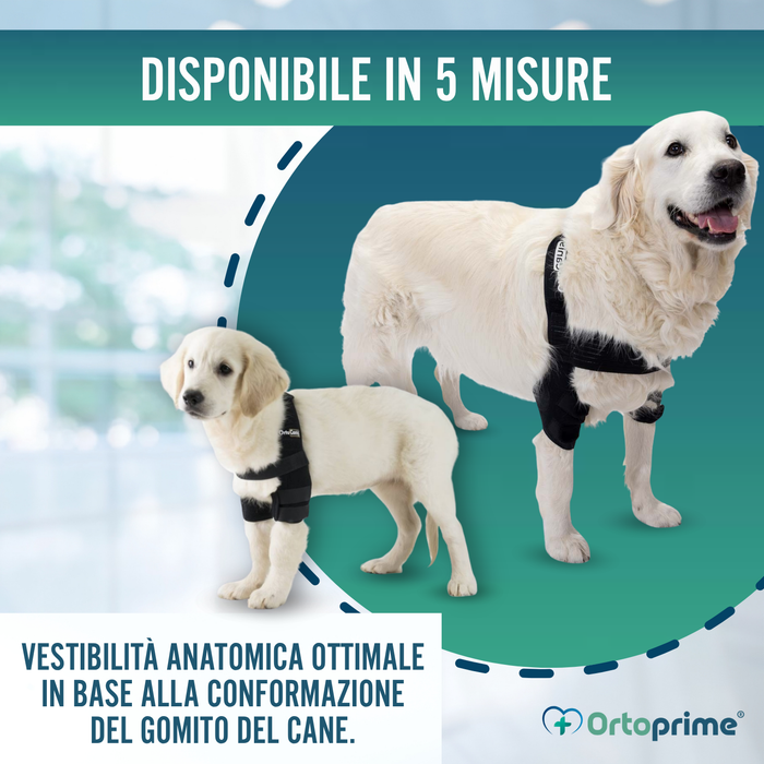 Ortesi per Gomito per Cani con Artrosi Riabilitazione Canina