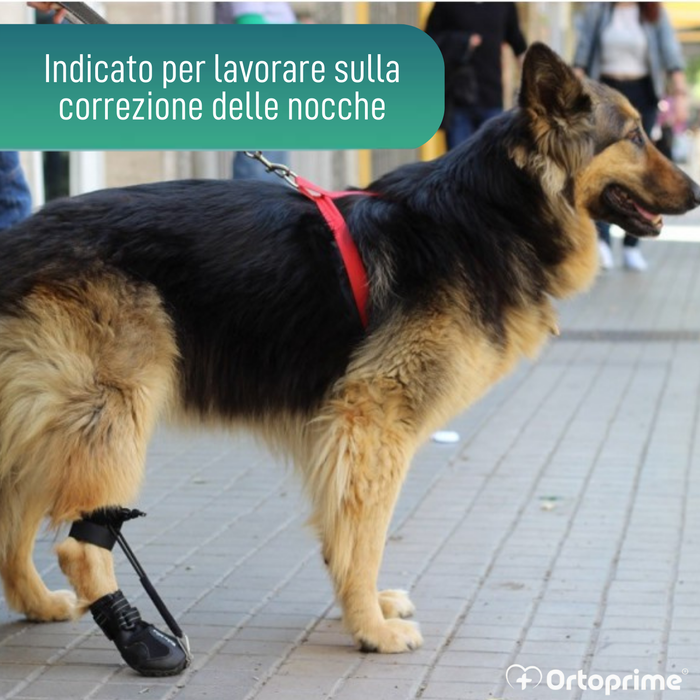 Stivale per Correttore Propriocettivo Canino | Suola in Gomma