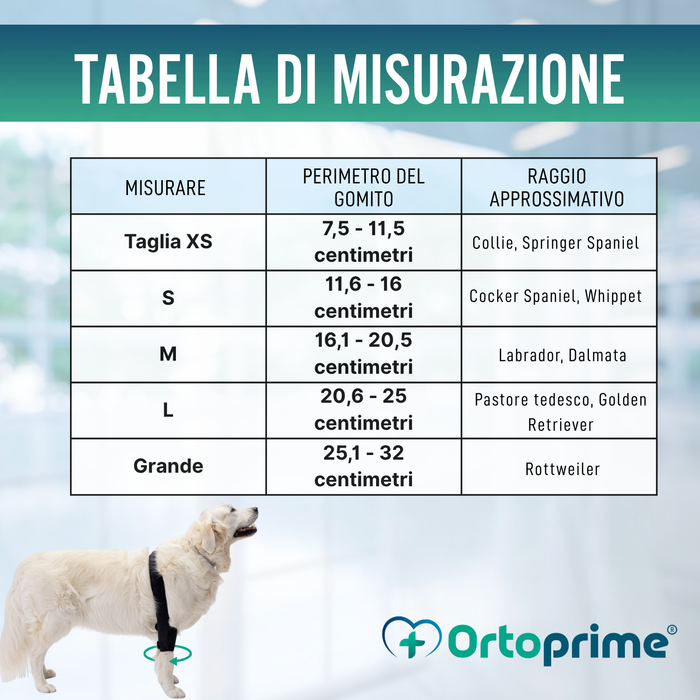 Ortesi per Gomito per Cani con Artrosi Riabilitazione Canina