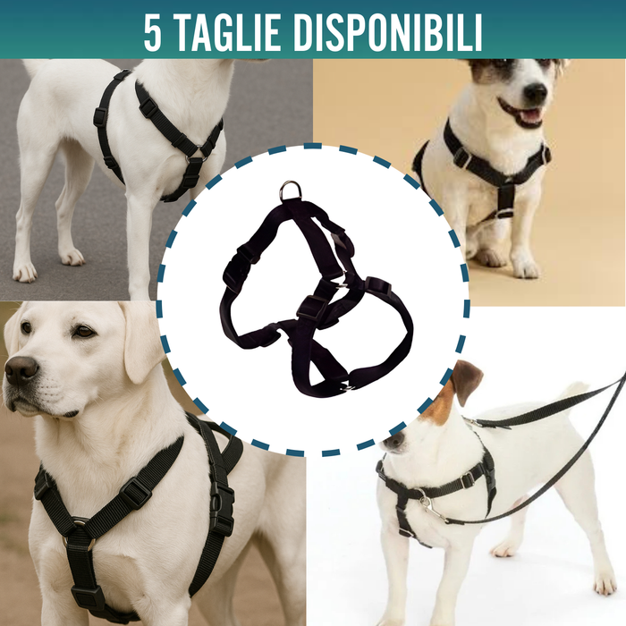 Imbracatura Canina per Riabilitazione Neurologica | 5 Taglie