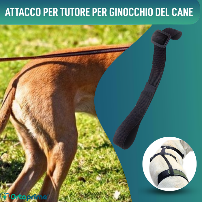 Fascia lombare per immobilizzo del ginocchio