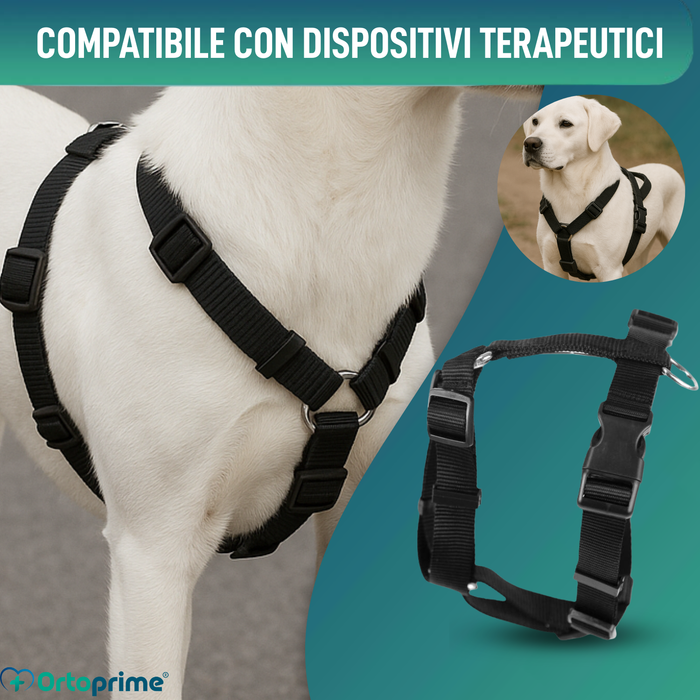 Imbracatura Canina per Riabilitazione Neurologica | 5 Taglie