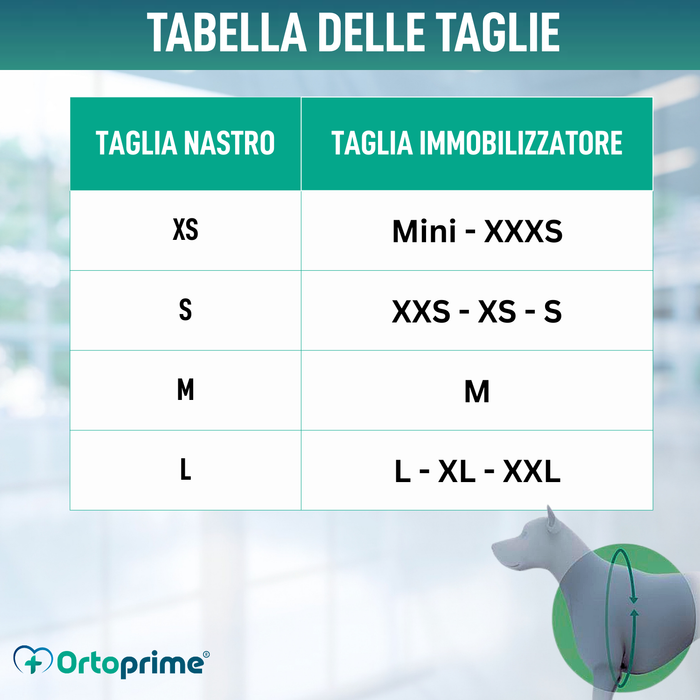 Fascia lombare per immobilizzo del ginocchio