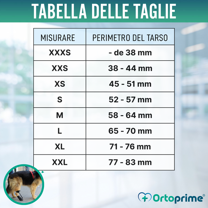 Stivale per Correttore Propriocettivo Canino | Suola in Gomma