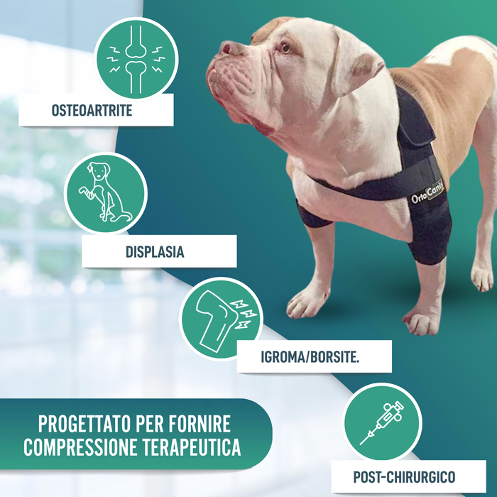 Ortesi per Gomito per Cani con Artrosi Riabilitazione Canina