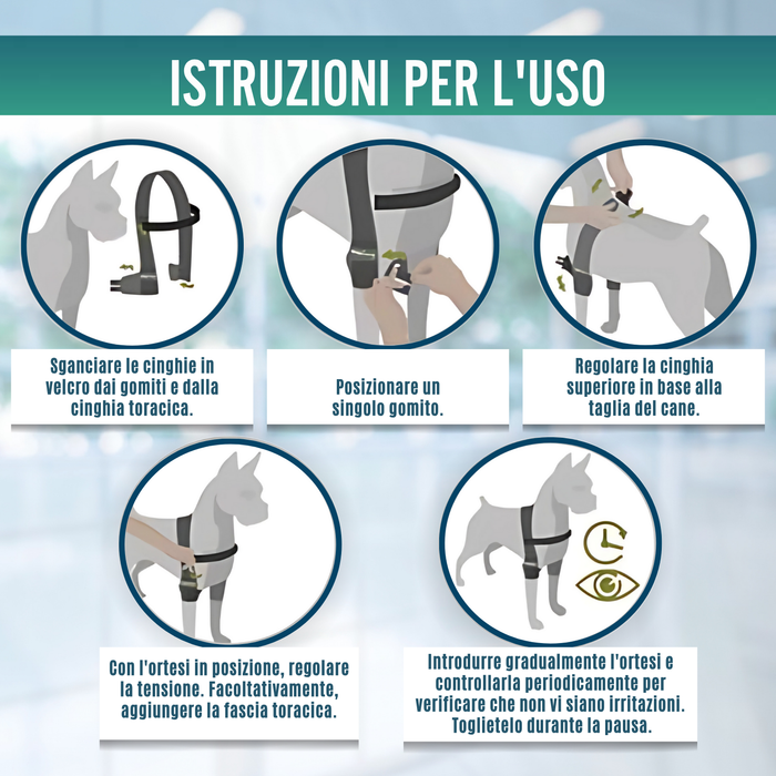 Ortesi per Gomito per Cani con Artrosi Riabilitazione Canina