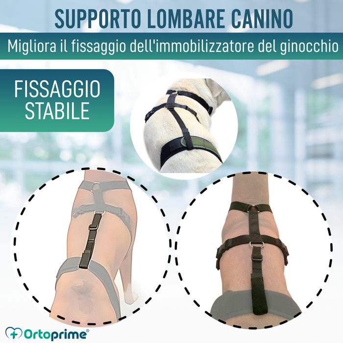 Fascia lombare per immobilizzo del ginocchio
