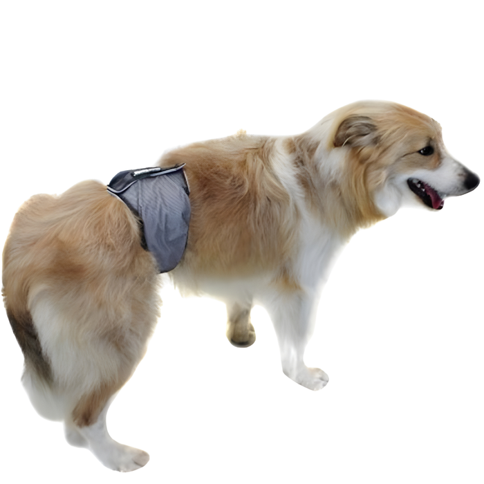 Fascia Antileak per Incontinenza Canina | Cane Maschio