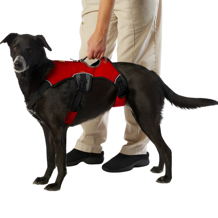 Imbracatura di Supporto per Cani da Servizio | 5 Taglie