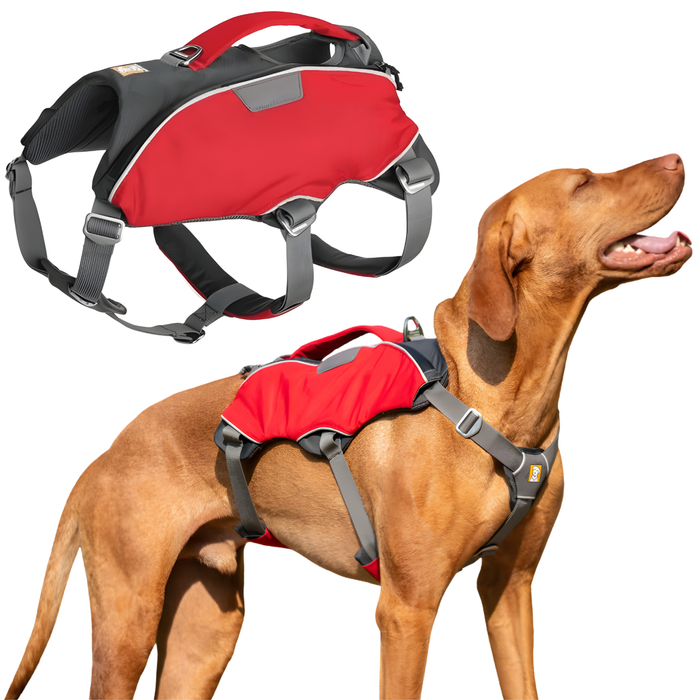 Imbracatura per Cani da Soccorso | Alta Resistenza