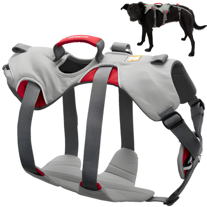 Imbracatura di Supporto per Cani da Alpinismo | Alta Resistenza