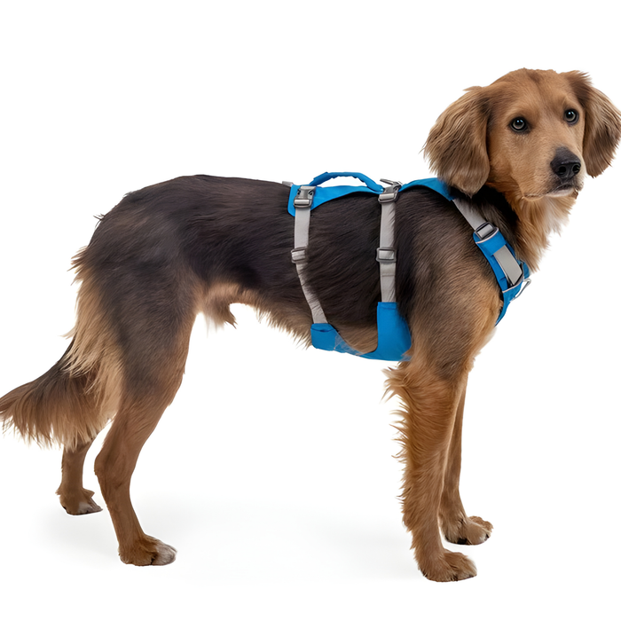 Imbracatura Canina Multiuso per Sollevamento | Struttura Robusta