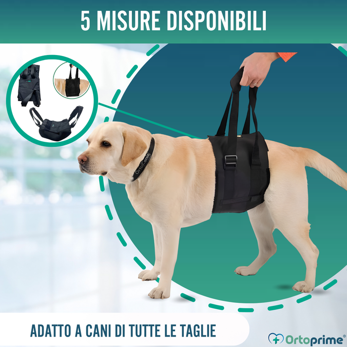Fascia di Supporto per Cani con Mobilità Ridotta | 5 Taglie
