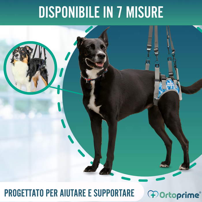 Imbracatura per Cani con Mobilità Ridotta alle Zampe Posteriori