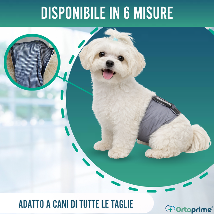 Fascia Antileak per Incontinenza Canina | Cane Maschio