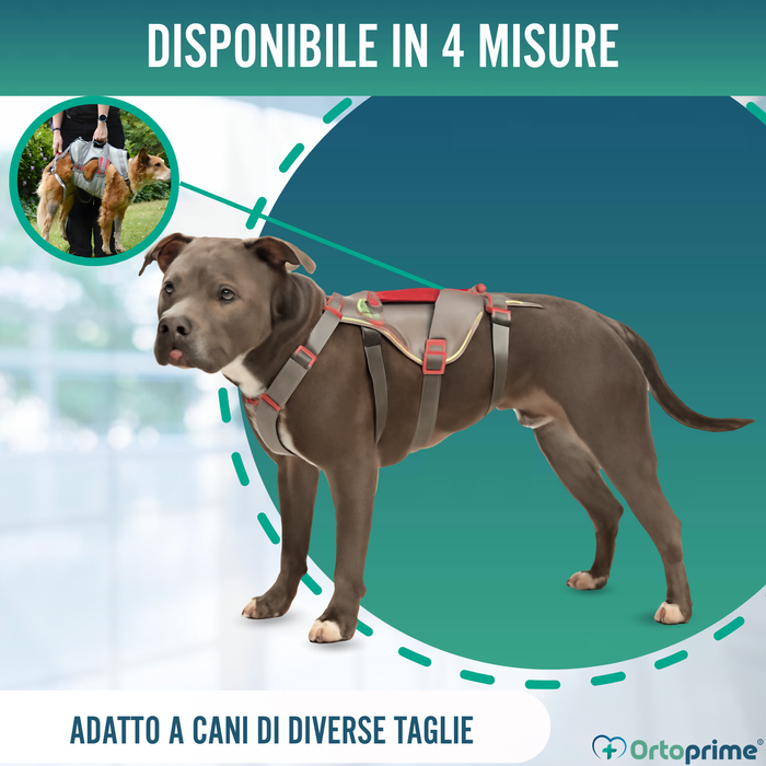 Imbracatura di Supporto per Cani da Alpinismo | Alta Resistenza