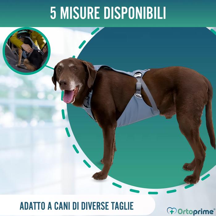 Imbracatura di Sicurezza per Trasporto Canino | Alta Resistenza