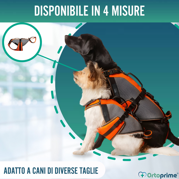 Imbracatura per Riabilitazione Completa per Cani | Materiale 3D