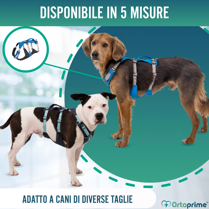 Imbracatura Canina Multiuso per Sollevamento | Struttura Robusta