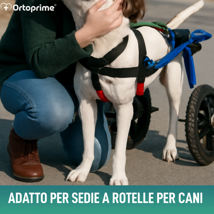 Imbracatura per Cani con Mobilità Ridotta alle Zampe Posteriori
