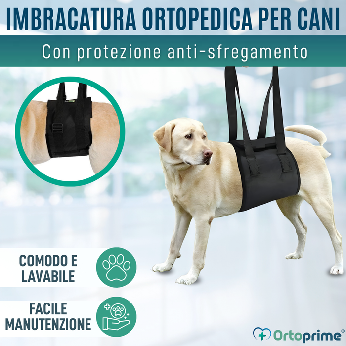 Fascia di Supporto per Cani con Mobilità Ridotta | 5 Taglie