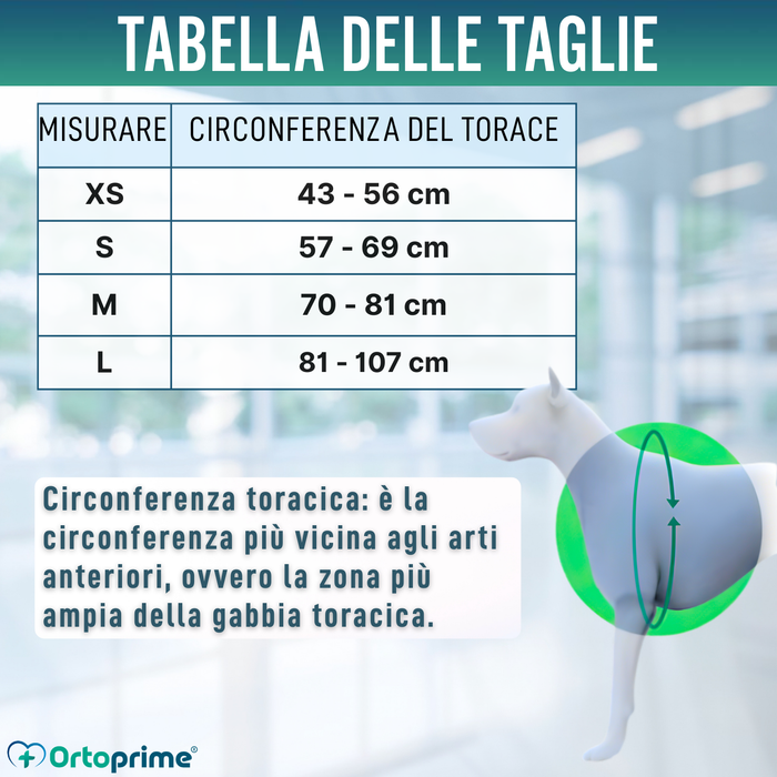Imbracatura di Supporto per Cani da Alpinismo | Alta Resistenza