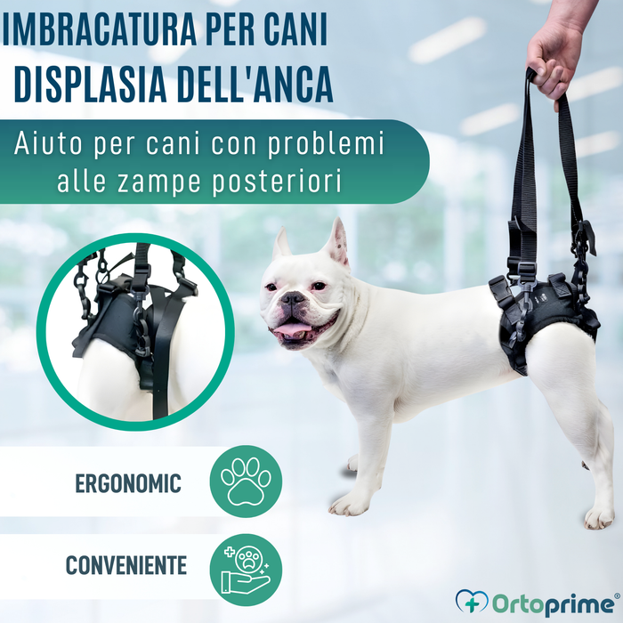 Imbracatura per Cani con Mobilità Ridotta alle Zampe Posteriori