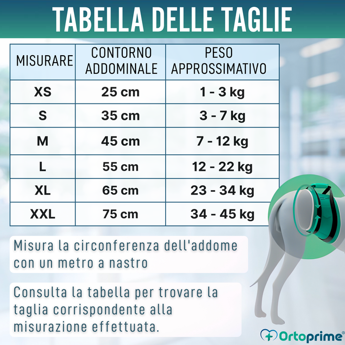 Fascia Antileak per Incontinenza Canina | Cane Maschio