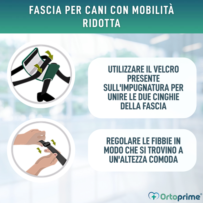 Fascia di Supporto per Cani con Mobilità Ridotta | 5 Taglie