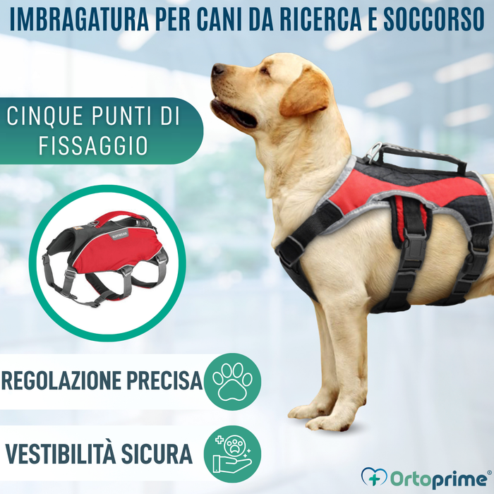 Imbracatura per Cani da Soccorso | Alta Resistenza