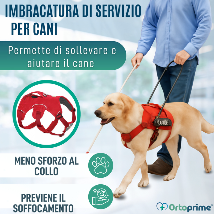 Imbracatura di Supporto per Cani da Servizio | 5 Taglie