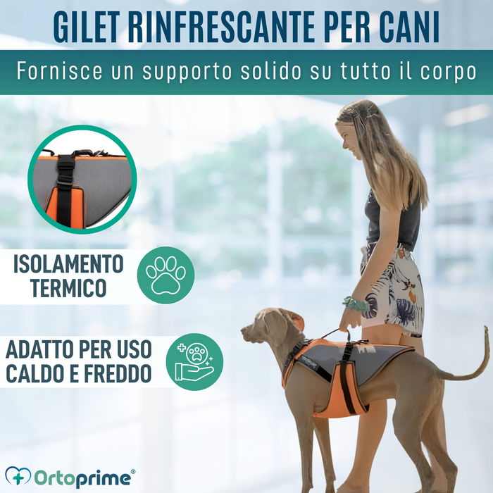 Imbracatura per Riabilitazione Completa per Cani | Materiale 3D