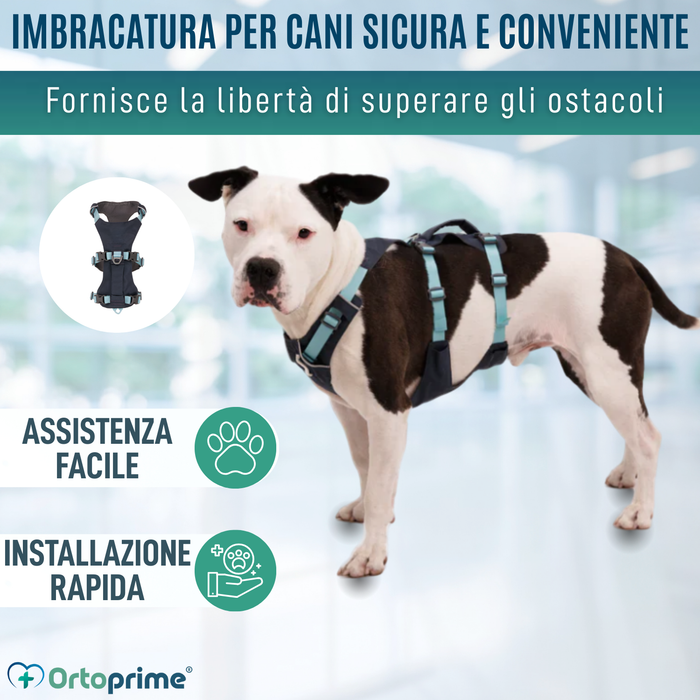 Imbracatura Canina Multiuso per Sollevamento | Struttura Robusta
