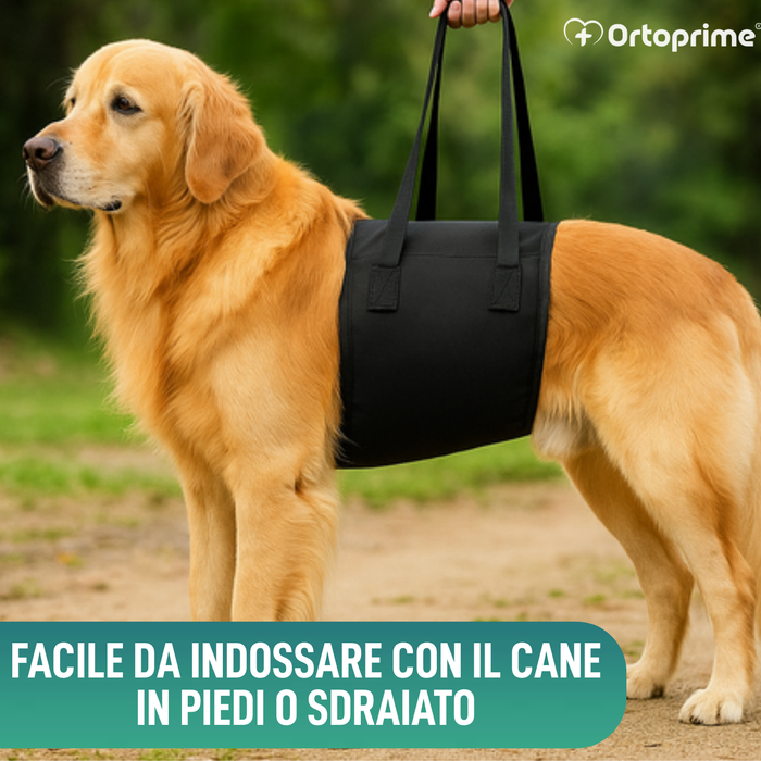 Fascia di Supporto per Cani con Mobilità Ridotta | 5 Taglie