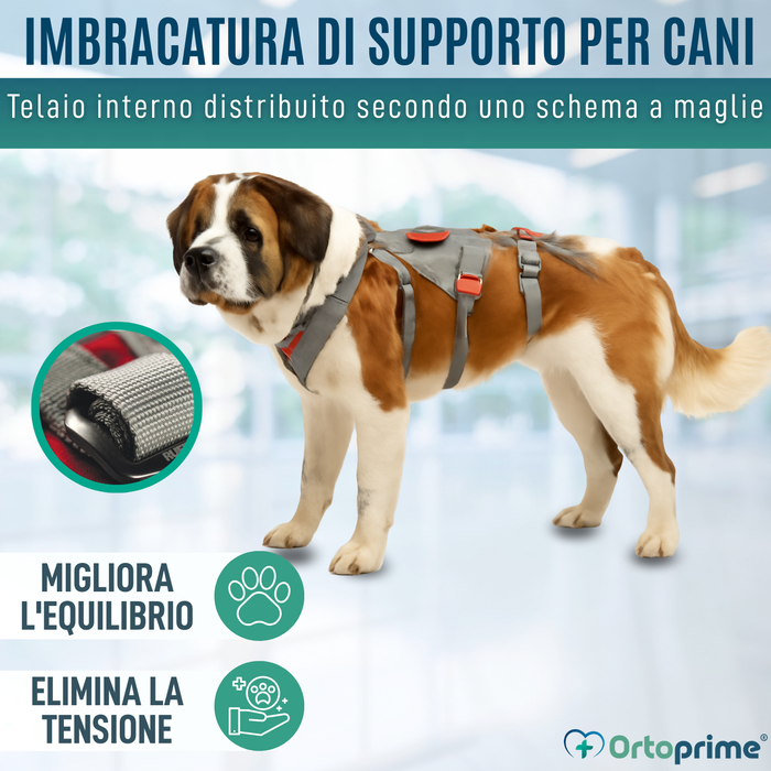 Imbracatura di Supporto per Cani da Alpinismo | Alta Resistenza